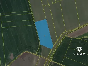 Prodej pole, Cholenice, 17822 m2