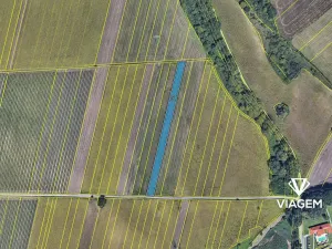 Prodej podílu pole, Sedlec, 1873 m2