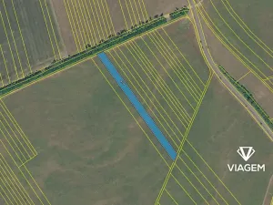 Prodej pole, Nivnice, 4902 m2