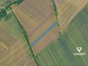 Prodej pole, Drslavice, 3500 m2