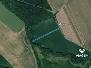 Prodej pole, Loukov, 2986 m2
