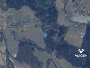Prodej podílu pole, Borohrádek, 2636 m2