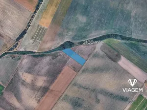 Prodej podílu pole, Dřísy, 1550 m2