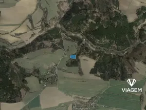 Prodej lesa, Řendějov, 6061 m2