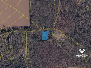 Prodej podílu lesa, Přerov nad Labem, 1325 m2