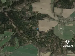 Prodej podílu lesa, Řendějov, 1292 m2