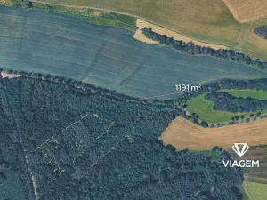 Prodej podílu lesa, Korkyně, 595 m2