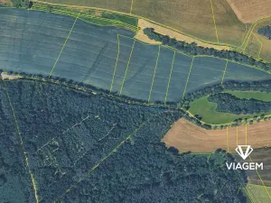 Prodej podílu lesa, Korkyně, 595 m2