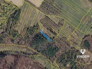 Prodej podílu lesa, Lipová, 827 m2