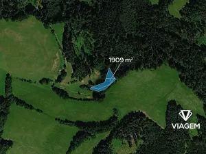 Prodej lesa, Postřelmůvek, 1909 m2