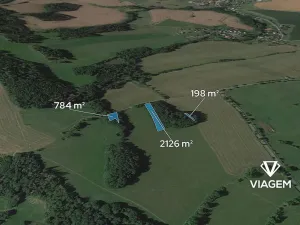 Prodej podílu lesa, Záhoří, 1554 m2