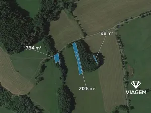 Prodej podílu lesa, Záhoří, 1554 m2