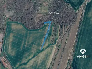 Prodej lesa, Bučovice, 3027 m2