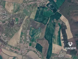 Prodej lesa, Bučovice, 3027 m2