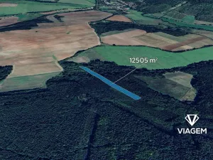 Prodej podílu lesa, Pnětluky, 5210 m2
