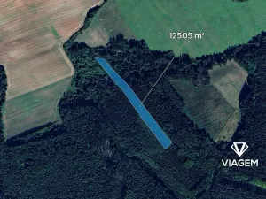 Prodej podílu lesa, Pnětluky, 5210 m2