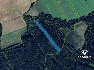 Prodej podílu lesa, Pnětluky, 5210 m2