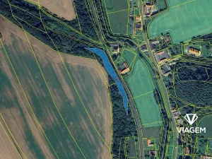 Prodej lesa, Radkov, 3669 m2