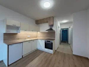 Pronájem bytu 1+kk, Plzeň, Kartónová, 39 m2