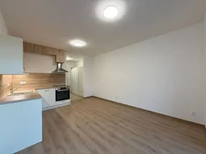 Pronájem bytu 1+kk, Plzeň, Kartónová, 39 m2