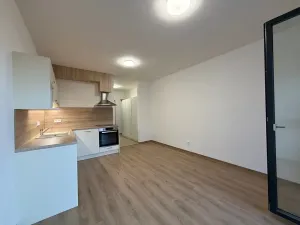Pronájem bytu 1+kk, Plzeň, Kartónová, 39 m2