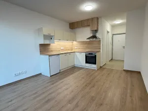 Pronájem bytu 1+kk, Plzeň, Kartónová, 39 m2