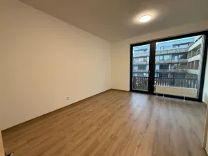 Pronájem bytu 1+kk, Plzeň, Kartónová, 39 m2