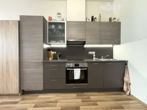 Pronájem bytu 1+kk, České Budějovice, Kostelní, 45 m2