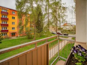 Prodej bytu 2+1, Šumperk, 8. května, 52 m2