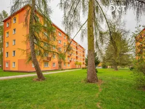 Prodej bytu 2+1, Šumperk, 8. května, 52 m2