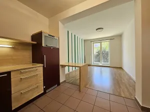 Pronájem bytu 2+kk, Brno, Lelkova, 50 m2