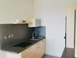 Prodej bytu 2+kk, Olomouc, Okružní, 50 m2