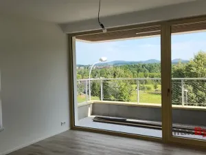 Prodej bytu 1+kk, Liberec, Polní, 43 m2