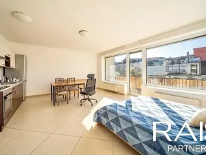 Prodej bytu 1+kk, Brno, 55 m2