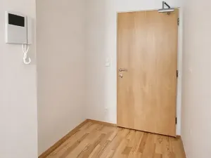 Prodej bytu 2+kk, Praha - Žižkov, Malešická, 58 m2