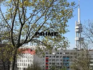 Pronájem bytu 3+kk, Praha - Žižkov, Prokopova, 71 m2