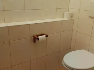 Pronájem bytu 3+kk, Plzeň, U Ježíška, 70 m2