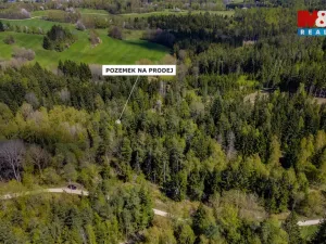 Prodej lesa, Železný Brod, 11203 m2