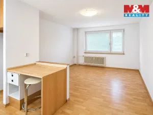 Prodej bytu 1+kk, Karlovy Vary - Rybáře, Konečná, 24 m2