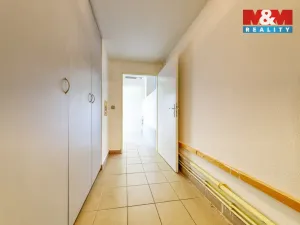 Prodej obchodního prostoru, Písek - Pražské Předměstí, Čechova, 53 m2