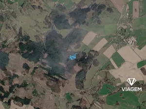 Prodej lesa, Řečice, 8501 m2