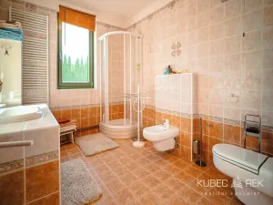Prodej chalupy, Suchdol nad Lužnicí, Žižkova, 300 m2