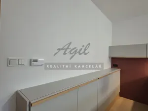 Pronájem bytu 1+kk, Brno, 56 m2