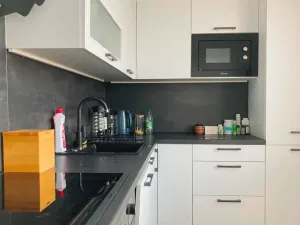Pronájem bytu 1+1, Ostrava, Opavská, 34 m2