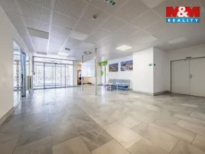 Pronájem obchodního prostoru, Praha - Petrovice, Ohmova, 43 m2