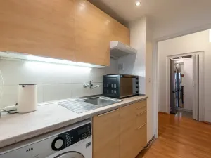 Prodej bytu 1+kk, Brno, Novoměstská, 30 m2