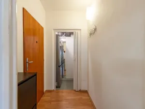 Prodej bytu 1+kk, Brno, Novoměstská, 30 m2