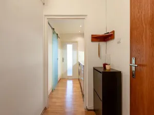 Prodej bytu 1+kk, Brno, Novoměstská, 30 m2