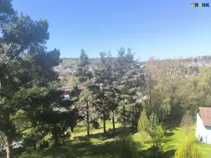 Pronájem bytu 2+1, Polná, Palackého, 52 m2
