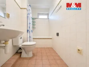 Pronájem bytu 1+1, Milovice, Mírová, 28 m2